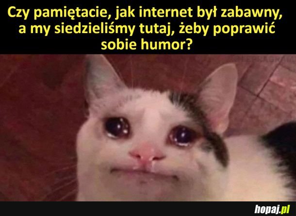 To już nie jest zabawne miejsce :c