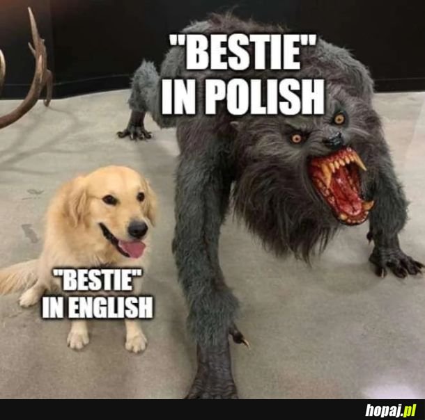 Bestie
