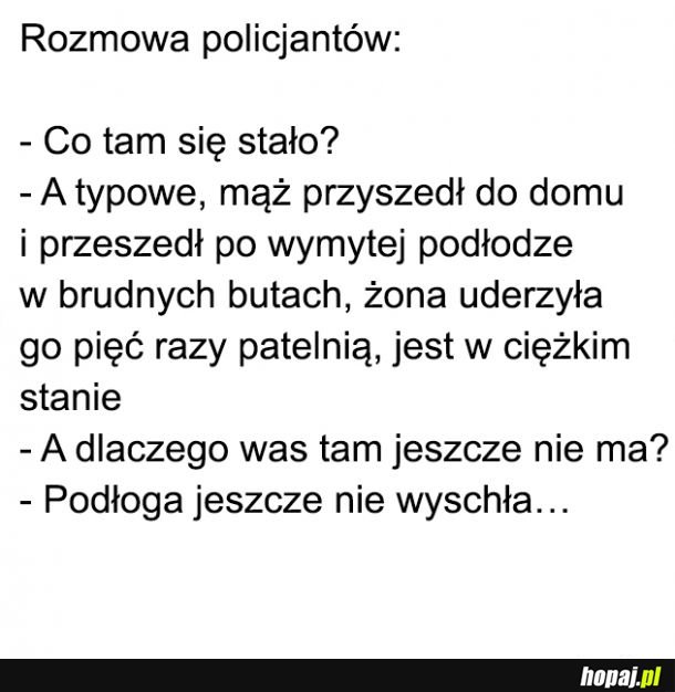 Znerwicowana żona 