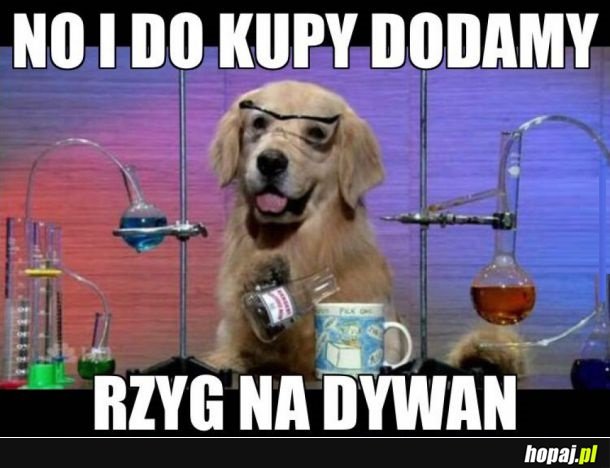 CHEMIK