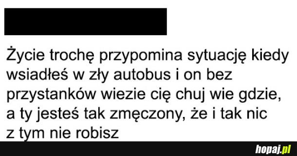  Życie 