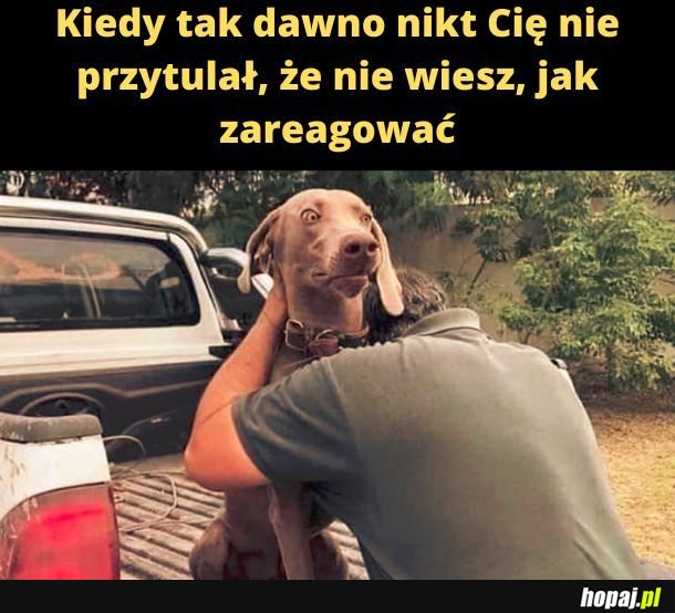 Jak zareagować? 