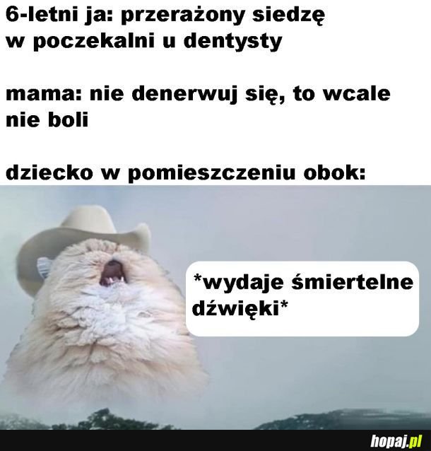 Nie budzi to zaufania