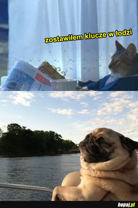 Koteł