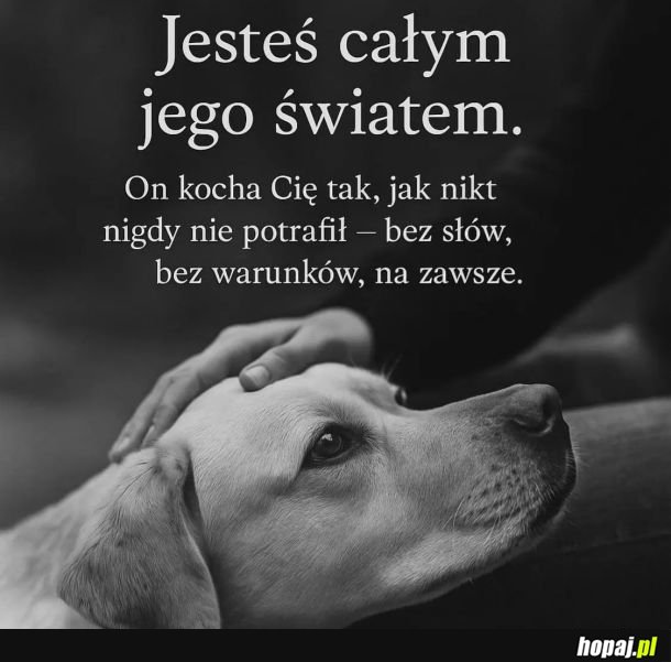 I z wzajemnością