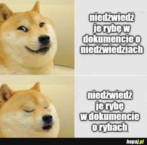 Punkt widzenia