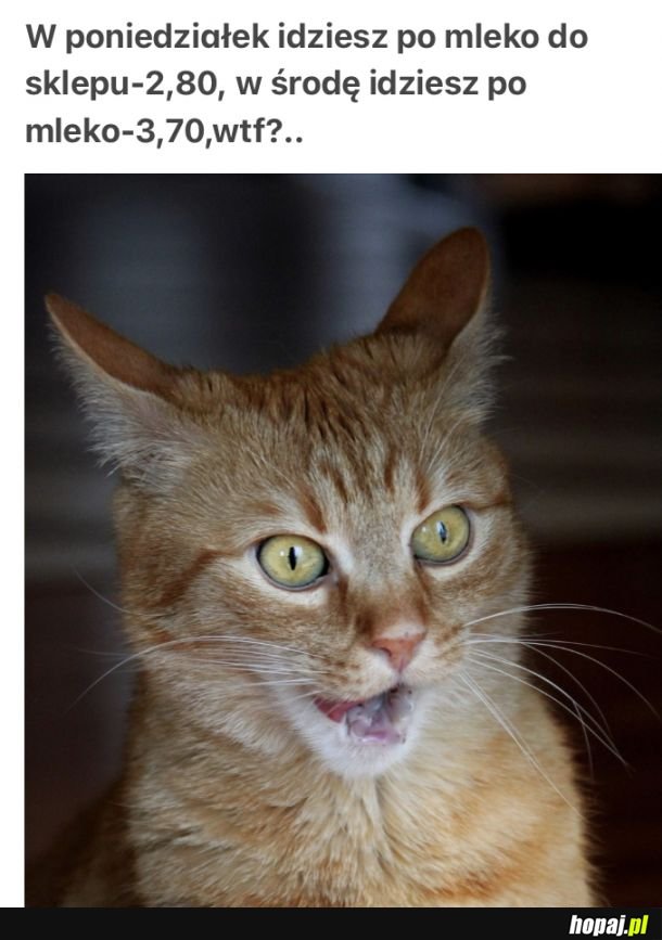Ale,że jak?