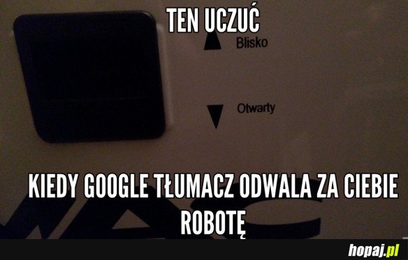 TŁUMACZ XD