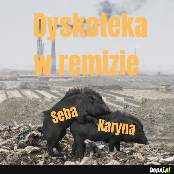 Kto był na wsi, ten wie