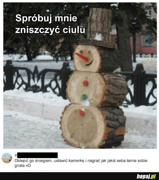 Pułapka na Sebę