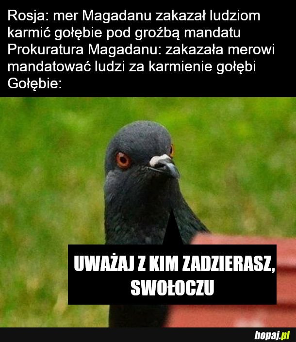 Zalety trójpodziału władzy to wieczne konflikty