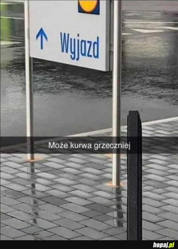 Właśnie