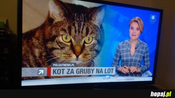 W końcu jakiś ważny news