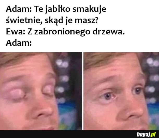 Adam i Ewa