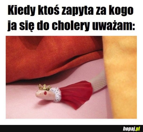 KIEDY KTOŚ PYTA