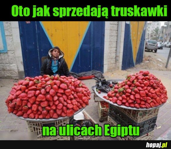 Truskawki