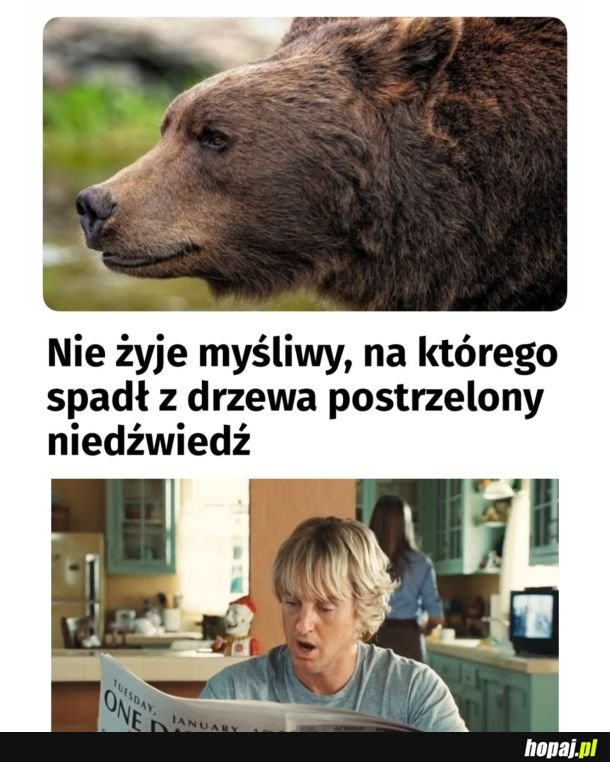 Myśliwy myślał, że to kaczka