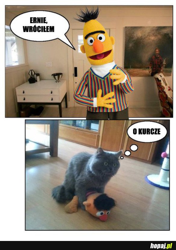 WRÓCIŁ ZA WCZEŚNIE