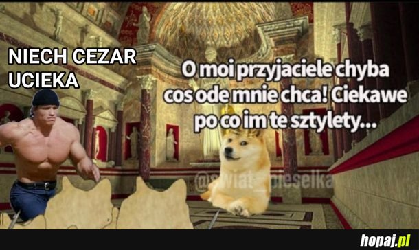 Podróżnik w czasie