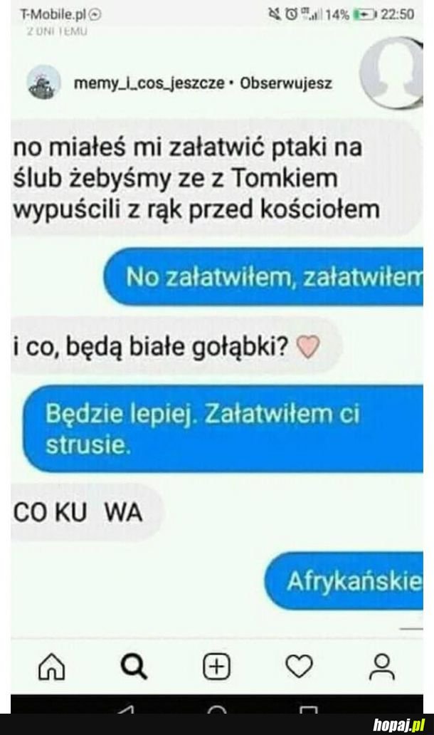 Niezapomniana chwila