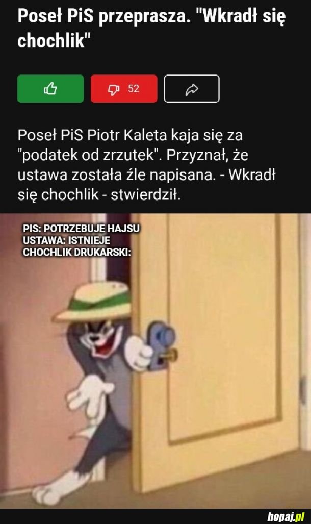 Chocholik może?