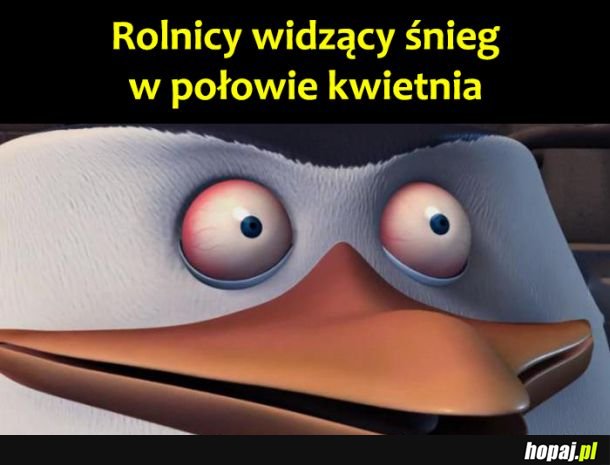 Zgroza