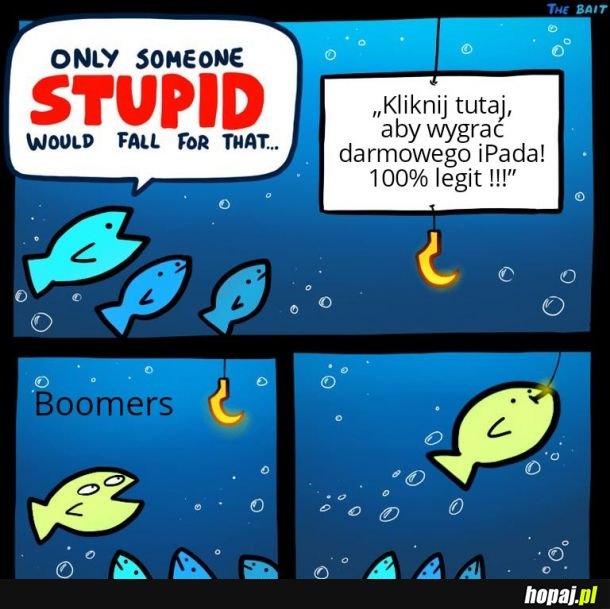 Boomers