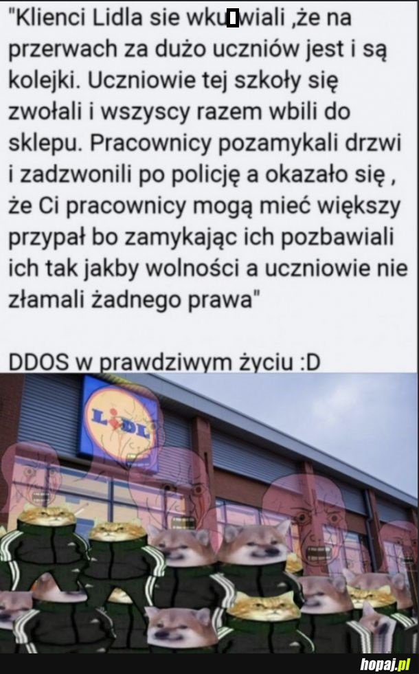 Lidl, radość z życia