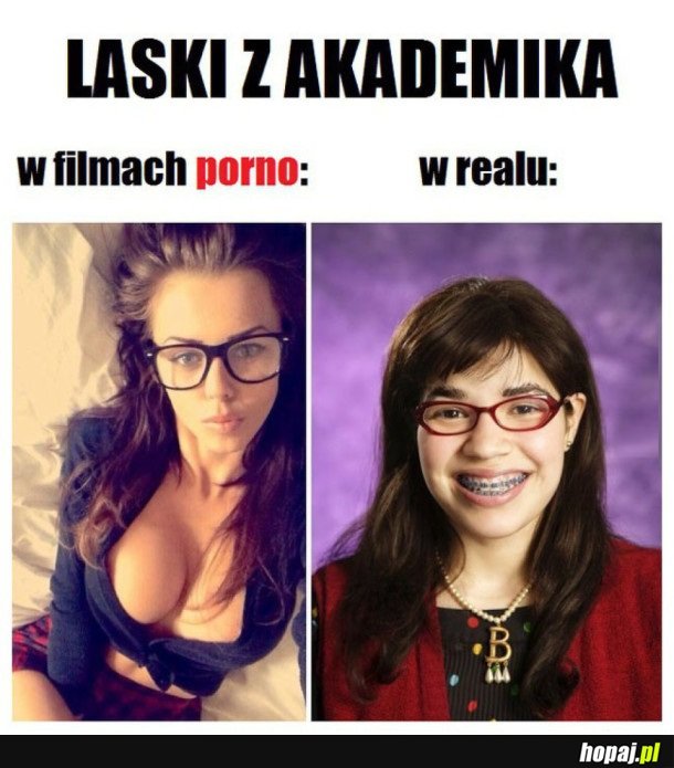 LASKI Z AKADEMIKA