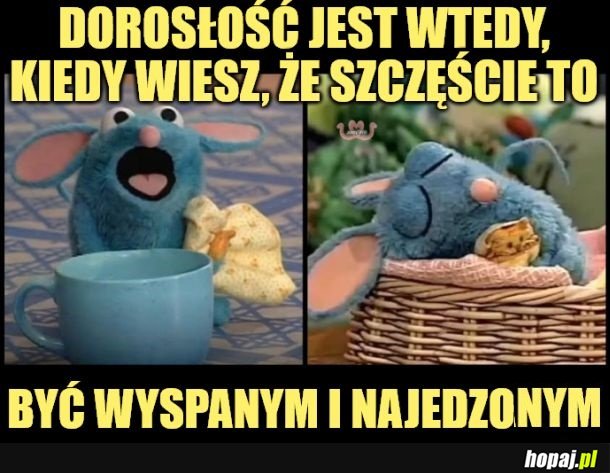 Dorosłość.