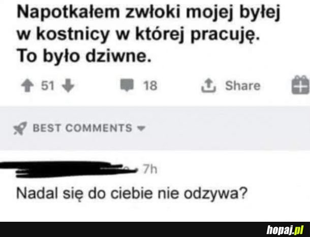 Nadal zimna kłoda