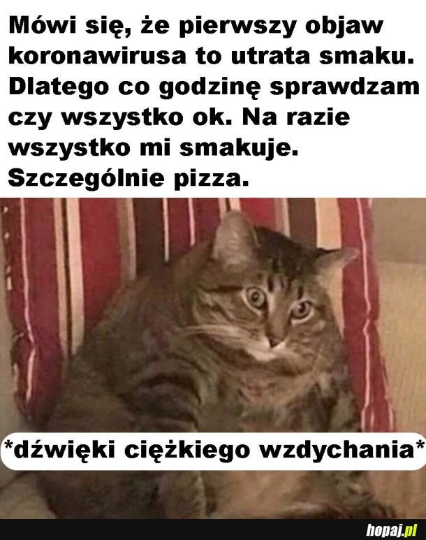 Warto często sprawdzać