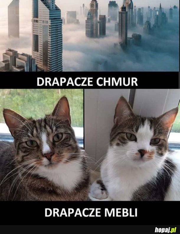 Drapacze