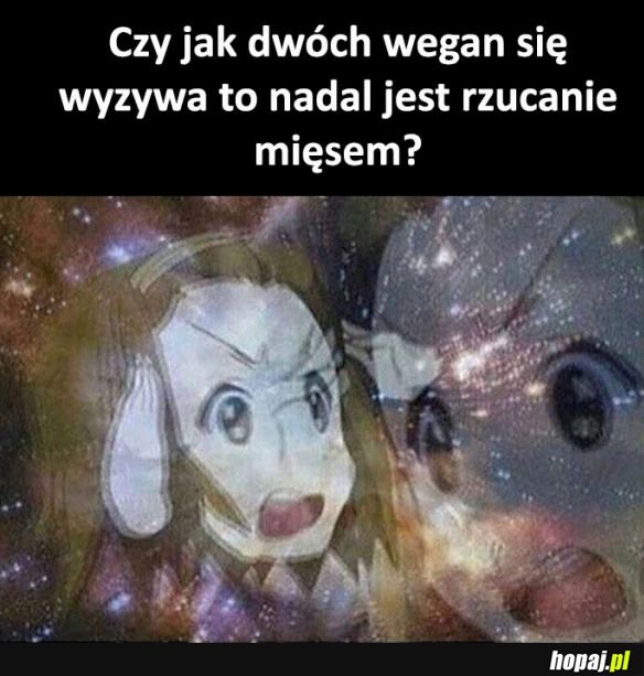 Kłótnia wegan