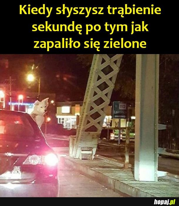 Mam do ciebie wyjść?