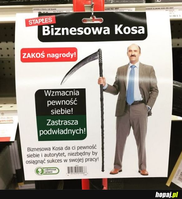 Biznesowa kosa