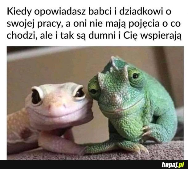 Dziadkowie