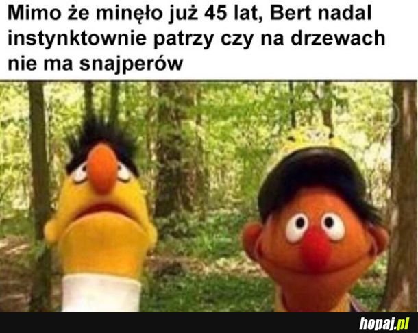 Bert i Ernie