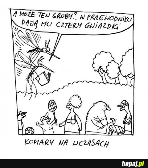 Komary na wczasach