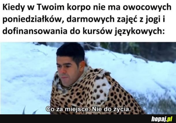 Co ja tu w ogóle robie