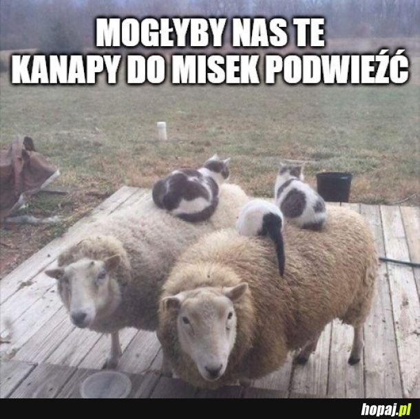 Ciepło, miękko