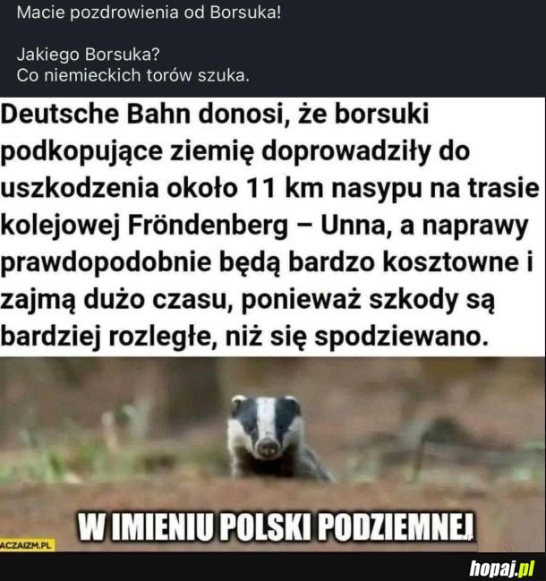 Pozdrowienia