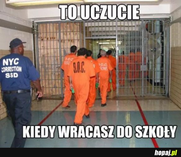 Pierwszy tydzień