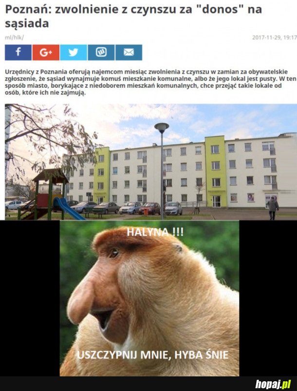 SPEŁNIENIE MARZEŃ