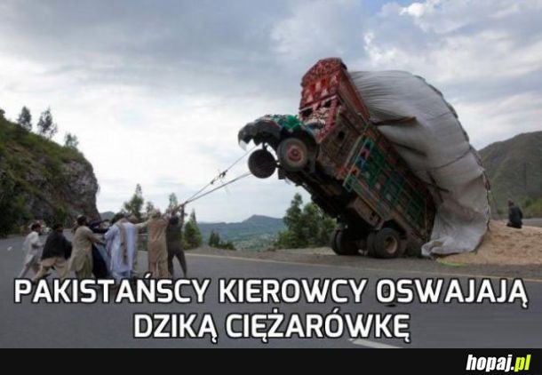 Oswajanie
