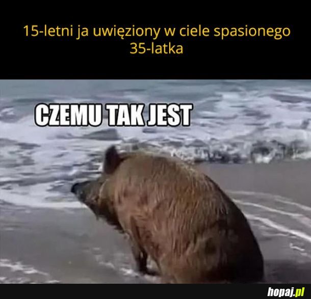 Identyfikuję się jako piętnastoaltek