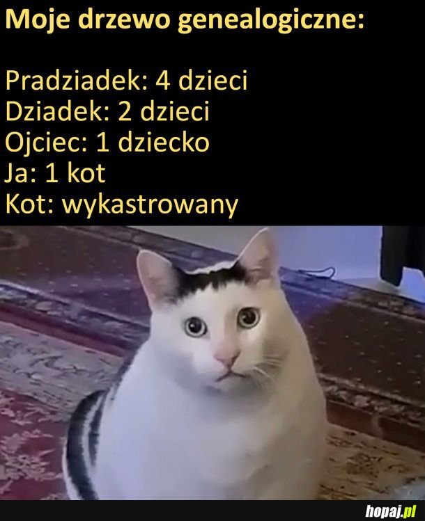 Drzewo genealogiczne