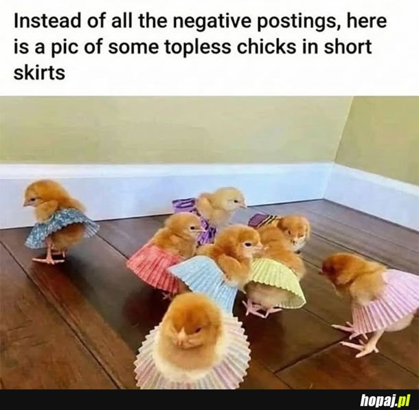 Coś pozytywnego dla odmiany