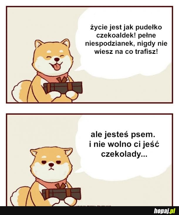 Moje czekoladki są nadziane...