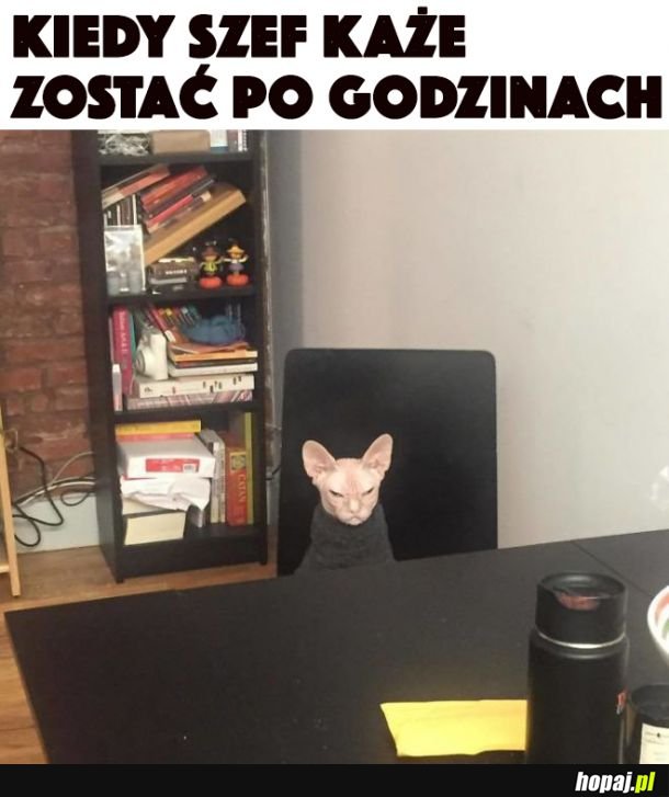 Zawsze ta sama reakcja 